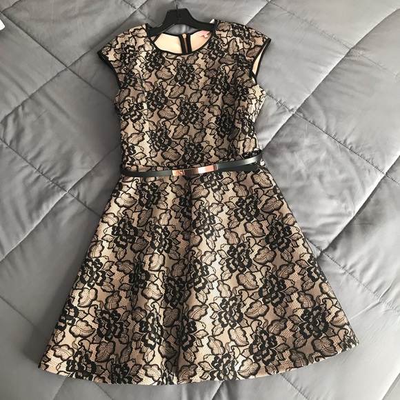 Ted Baker Skater Dress - Picture 4 of 7